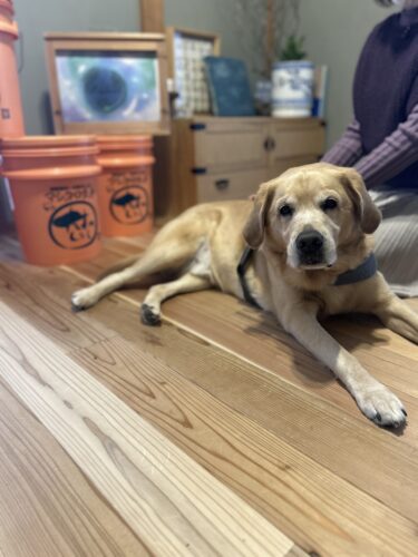 『お家の空氣　体感会』ご参加ありがとうございました